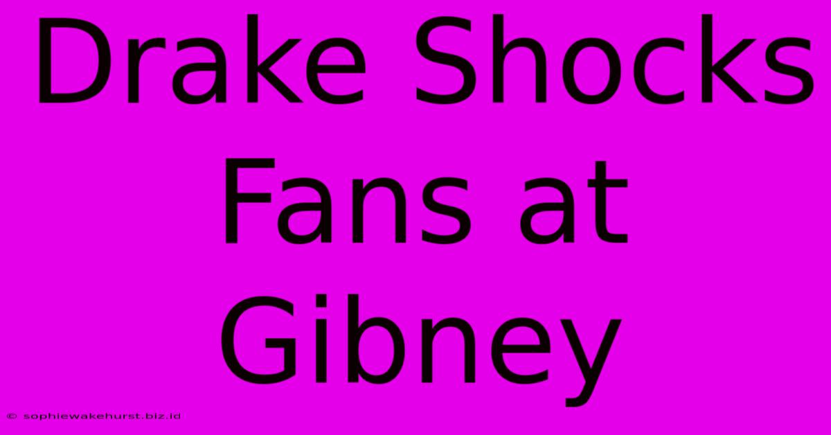 Drake Shocks Fans At Gibney