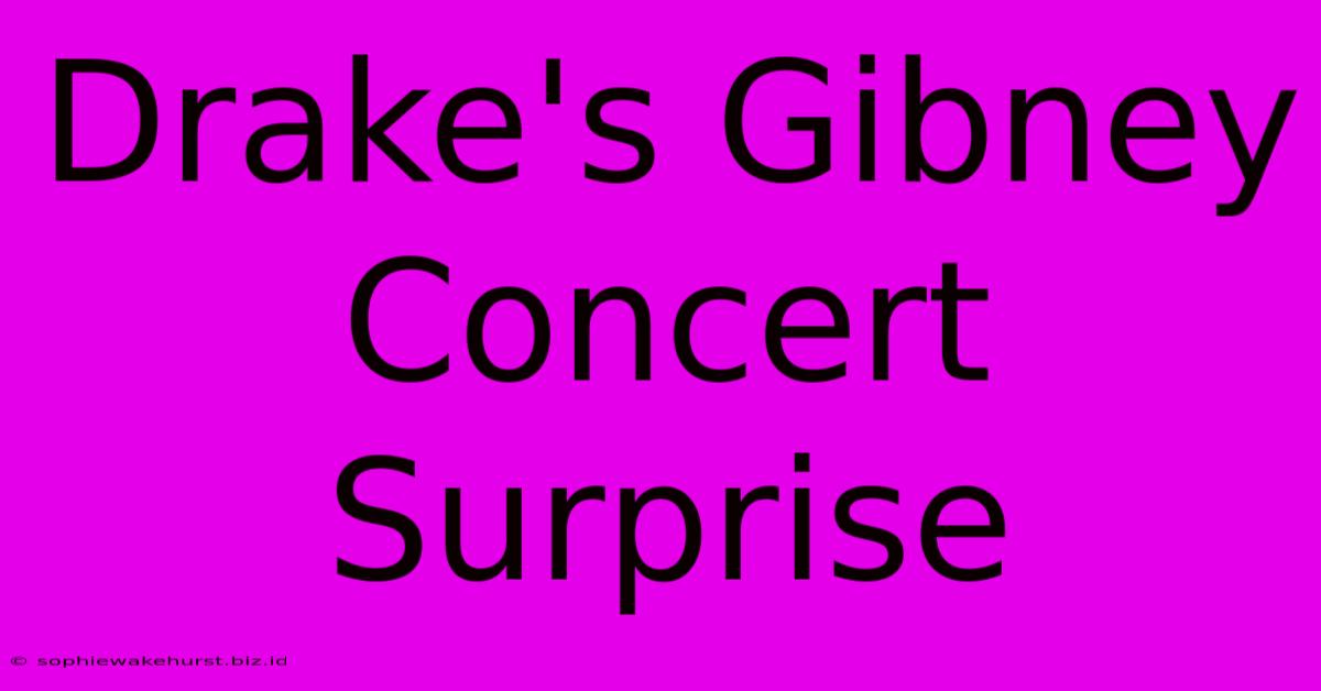 Drake's Gibney Concert Surprise