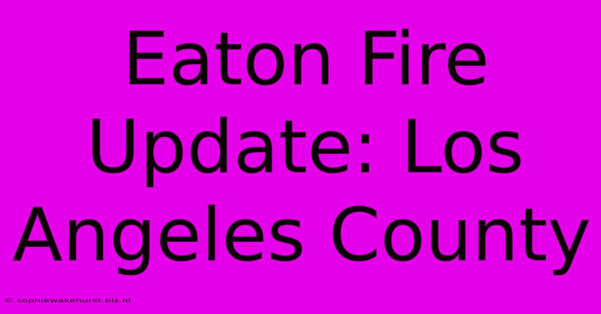 Eaton Fire Update: Los Angeles County