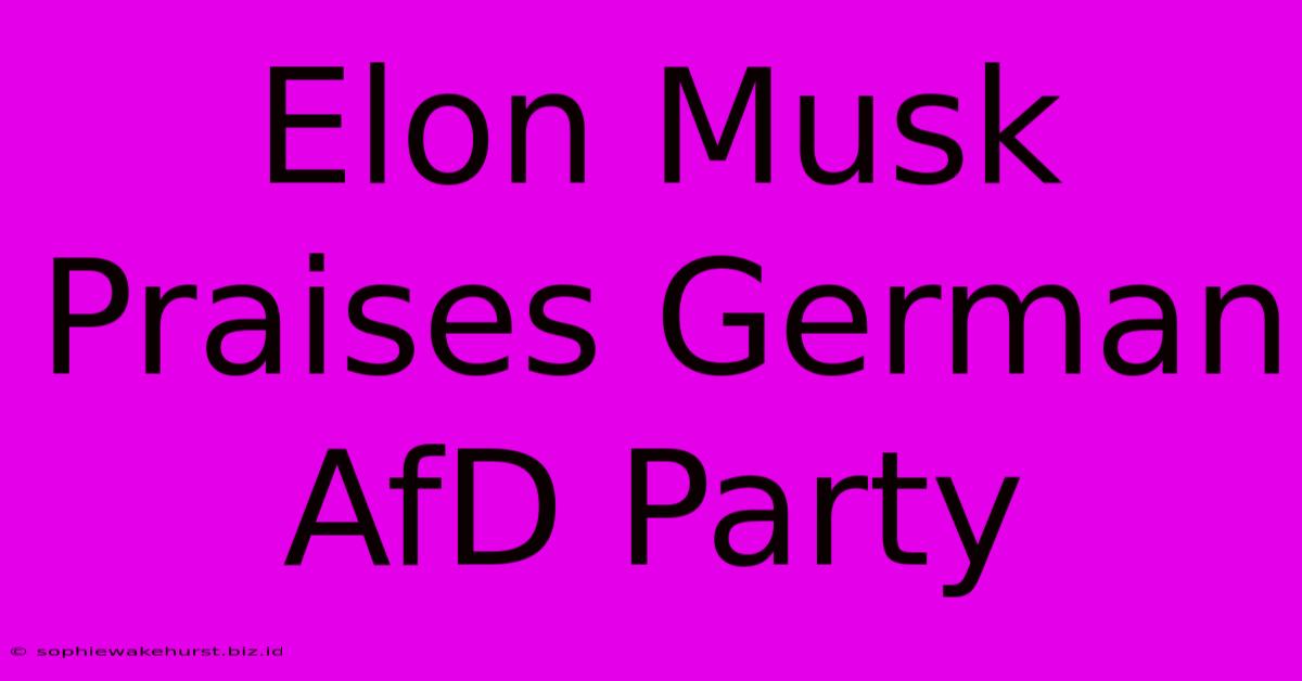 Elon Musk Praises German AfD Party