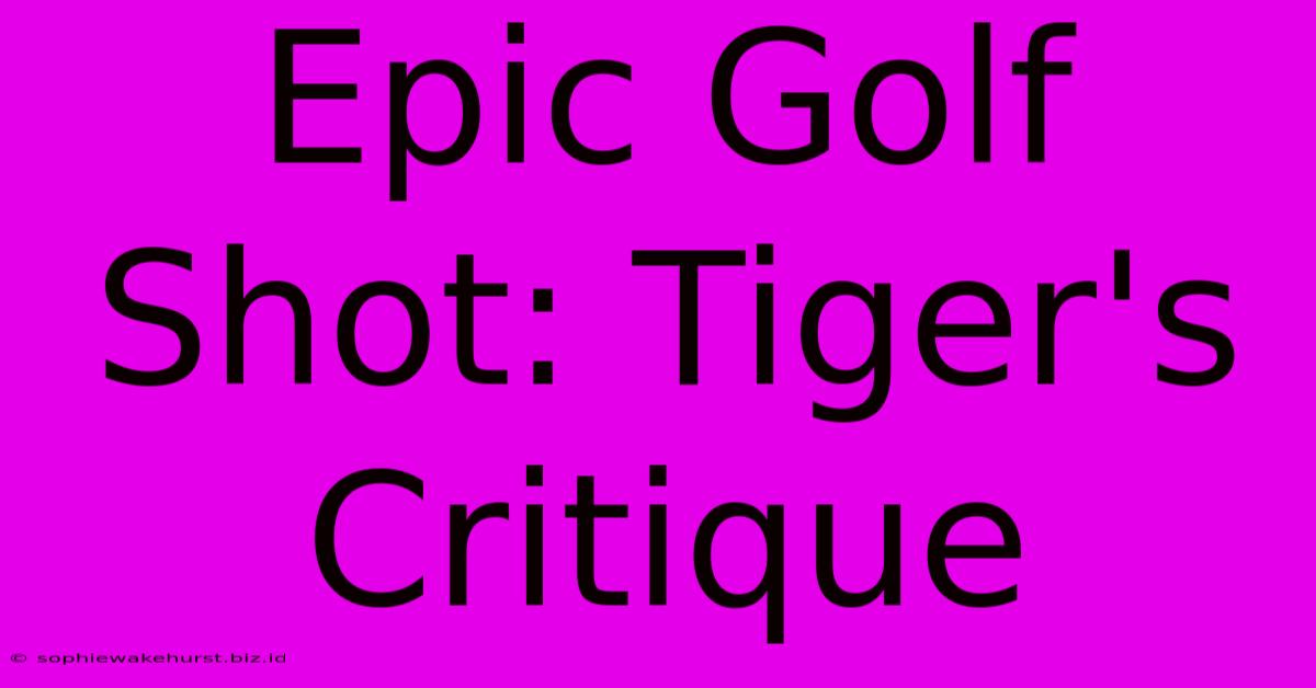 Epic Golf Shot: Tiger's Critique