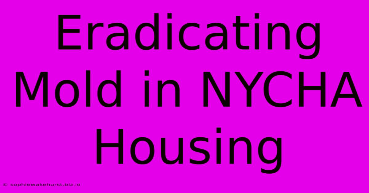 Eradicating Mold In NYCHA Housing