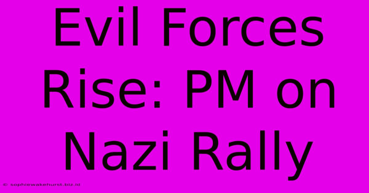 Evil Forces Rise: PM On Nazi Rally