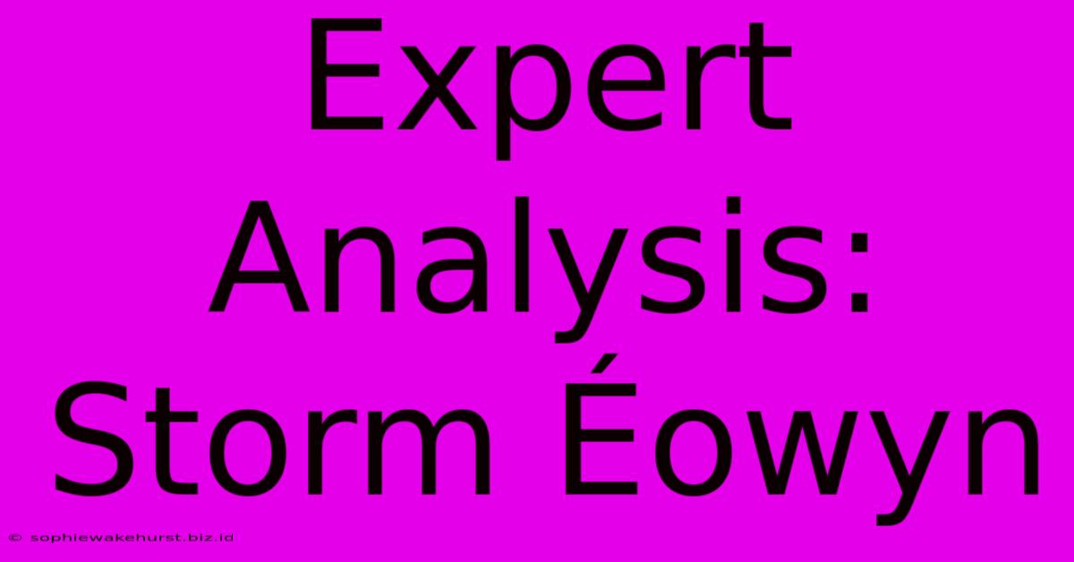 Expert Analysis: Storm Éowyn