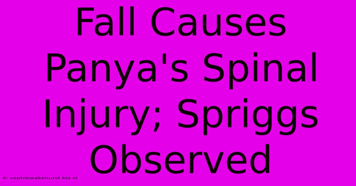 Fall Causes Panya's Spinal Injury; Spriggs Observed