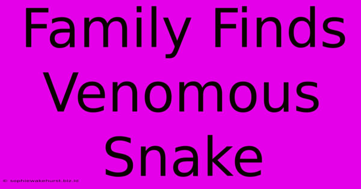 Family Finds Venomous Snake