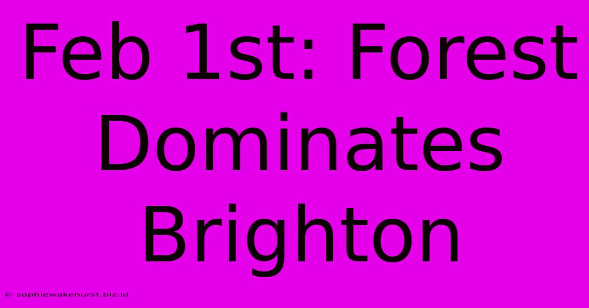 Feb 1st: Forest Dominates Brighton