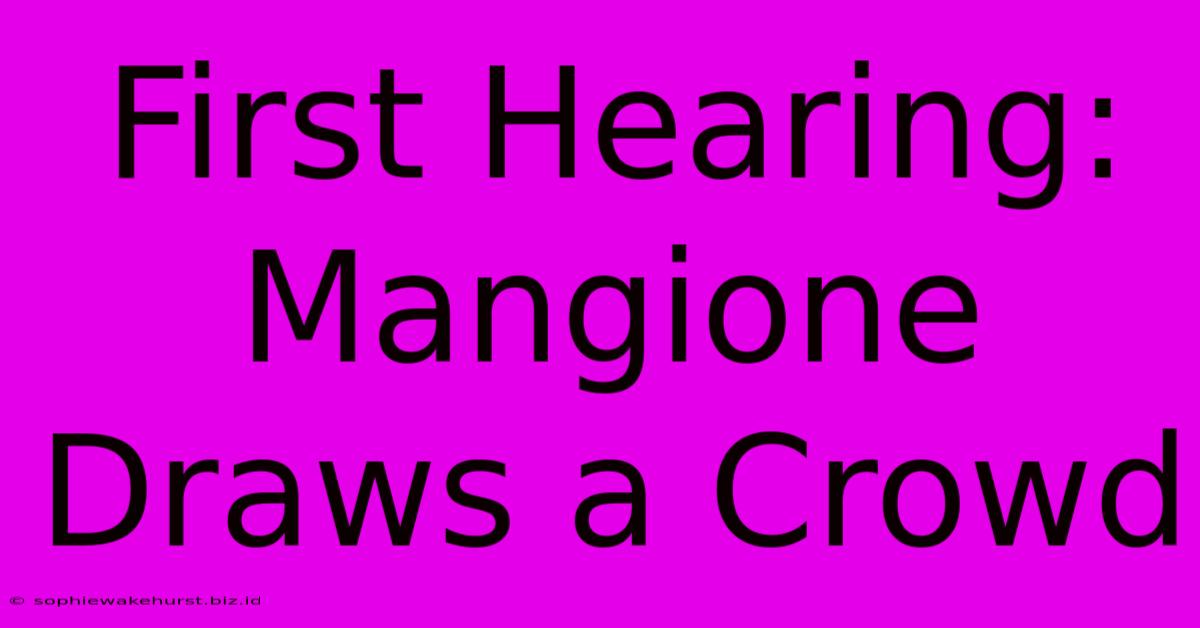 First Hearing: Mangione Draws A Crowd