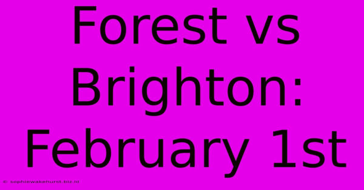 Forest Vs Brighton: February 1st