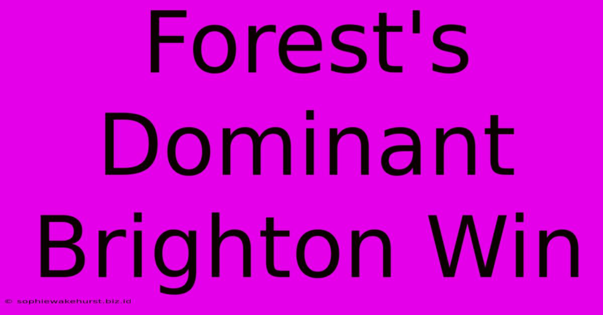 Forest's Dominant Brighton Win