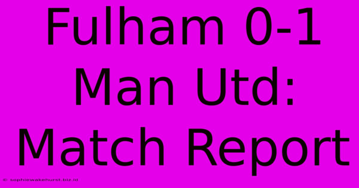 Fulham 0-1 Man Utd: Match Report