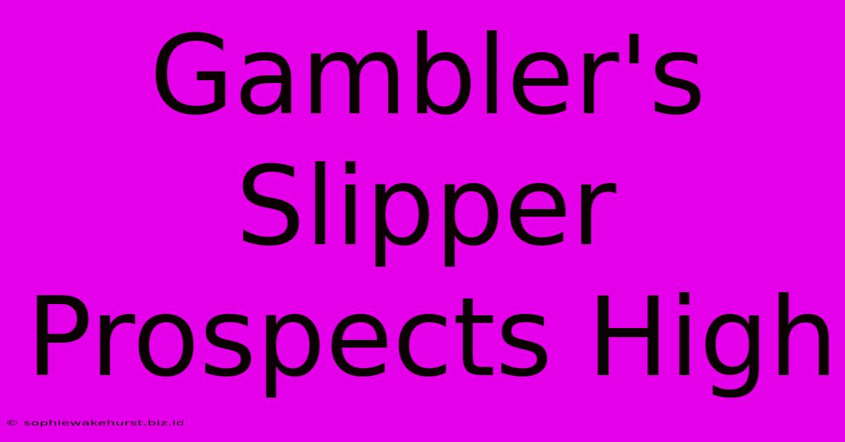 Gambler's Slipper Prospects High