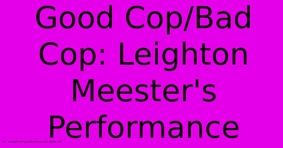 Good Cop/Bad Cop: Leighton Meester's Performance