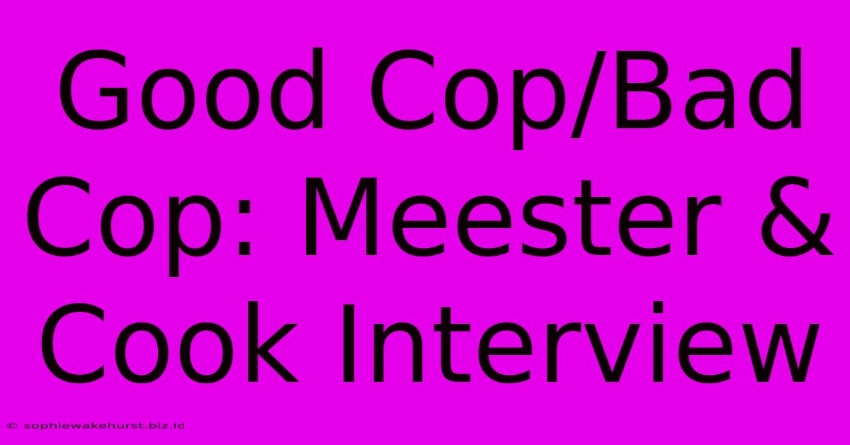 Good Cop/Bad Cop: Meester & Cook Interview