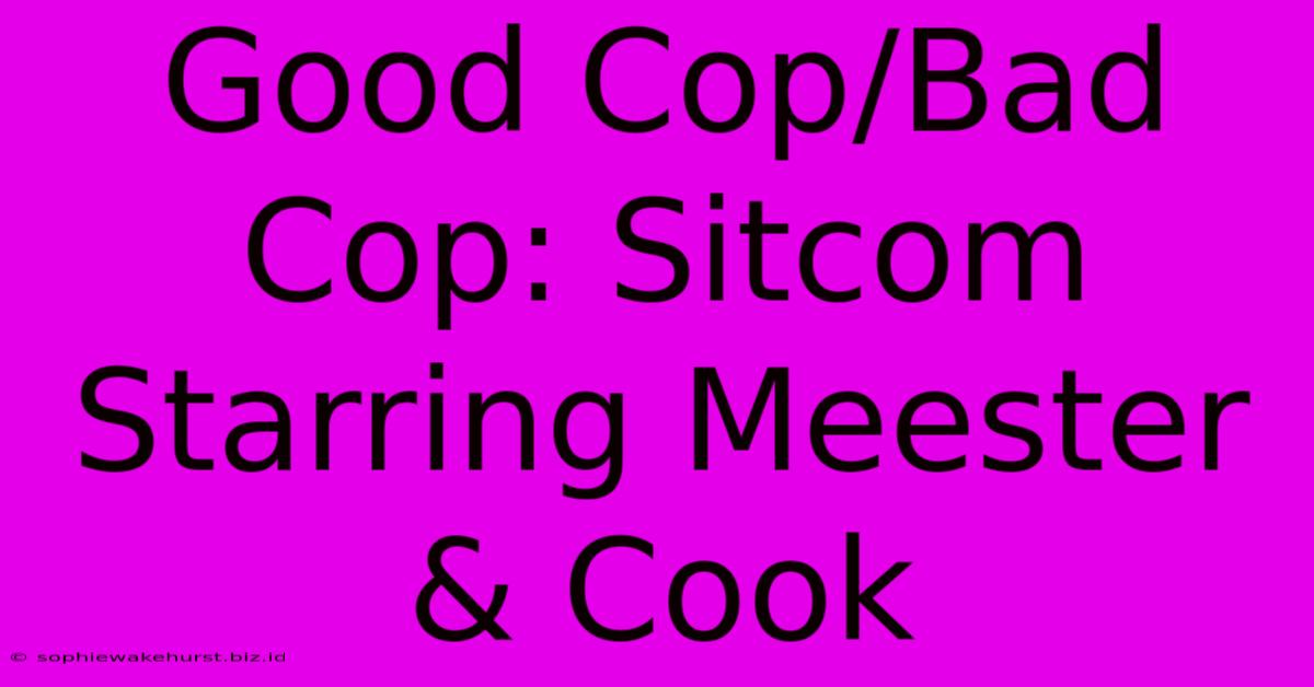 Good Cop/Bad Cop: Sitcom Starring Meester & Cook