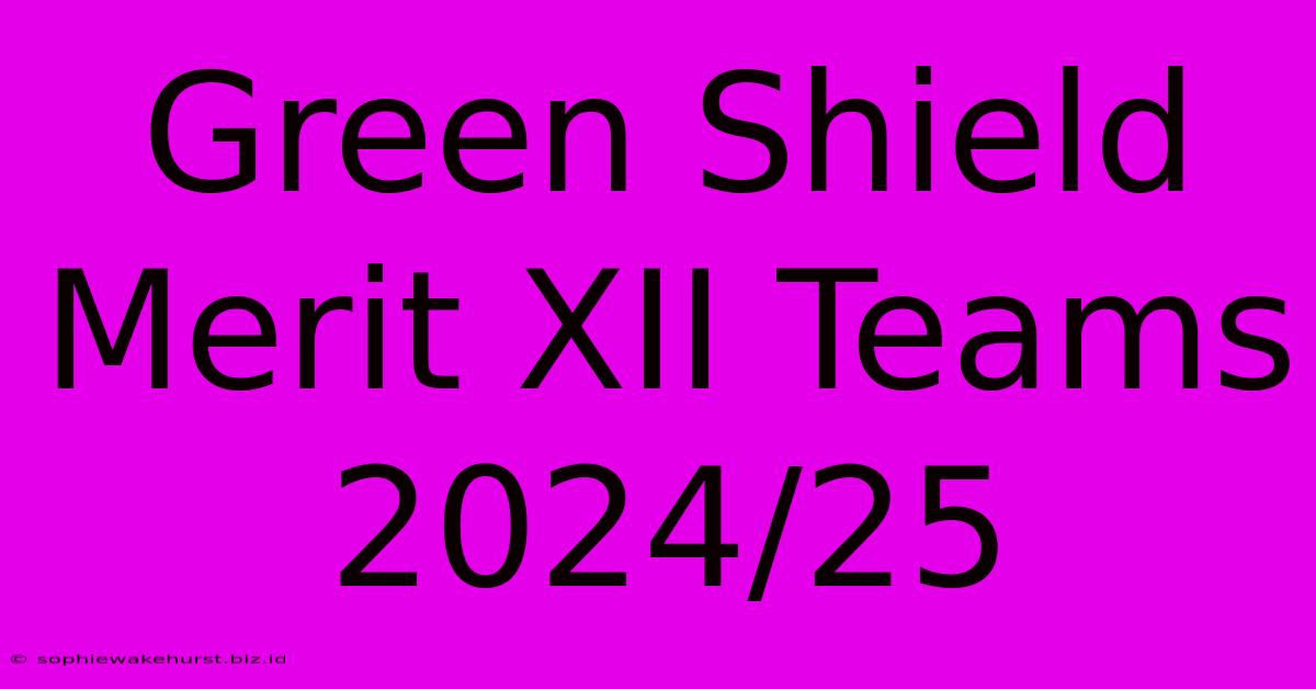 Green Shield Merit XII Teams 2024/25