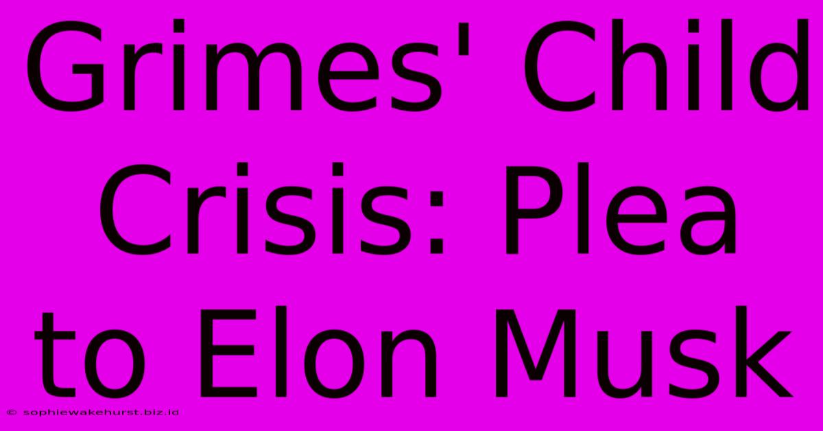 Grimes' Child Crisis: Plea To Elon Musk