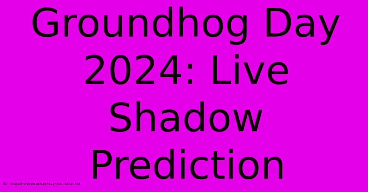 Groundhog Day 2024: Live Shadow Prediction