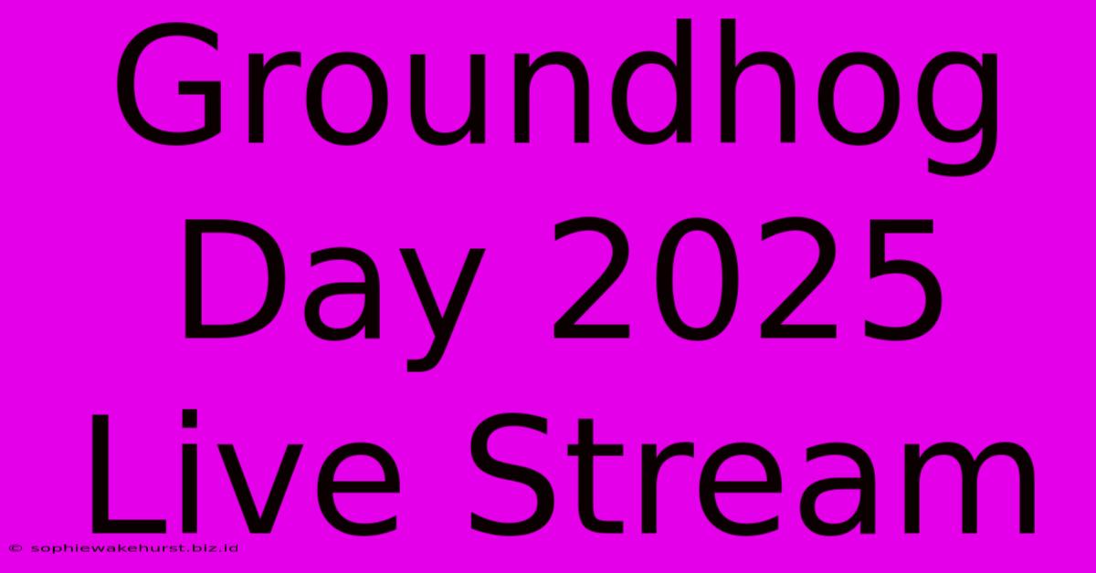 Groundhog Day 2025 Live Stream