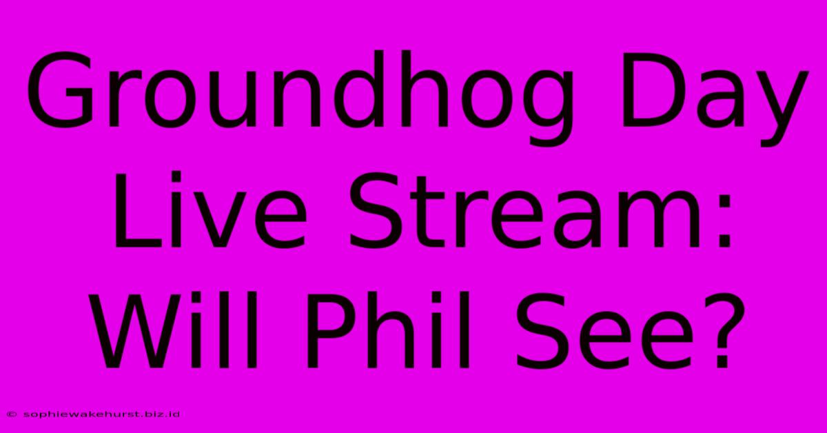 Groundhog Day Live Stream: Will Phil See?