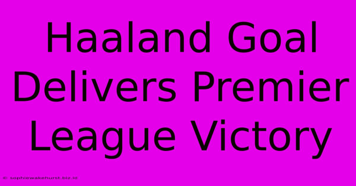 Haaland Goal Delivers Premier League Victory