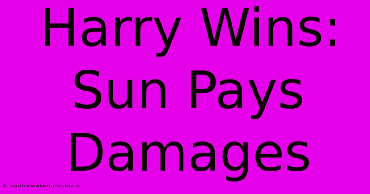 Harry Wins: Sun Pays Damages