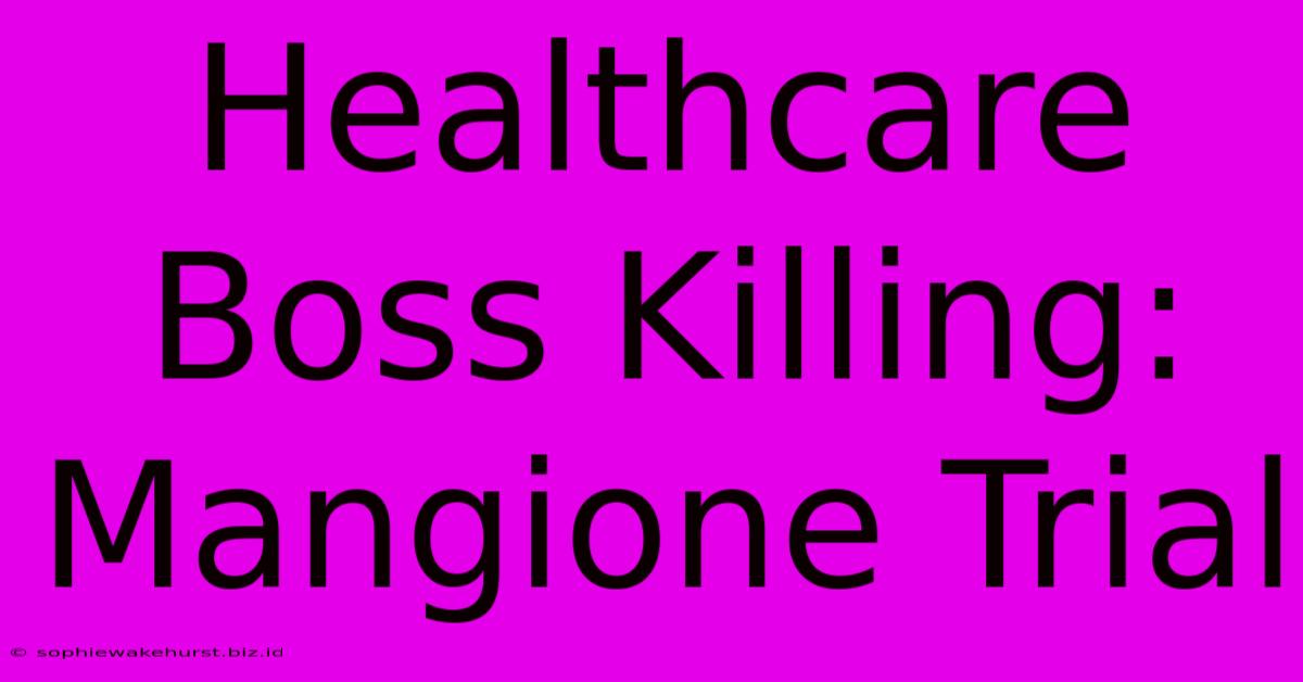 Healthcare Boss Killing: Mangione Trial