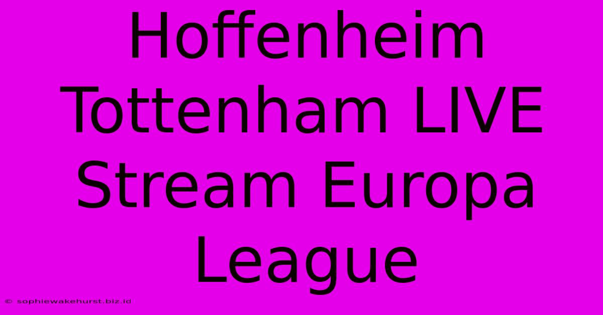 Hoffenheim Tottenham LIVE Stream Europa League