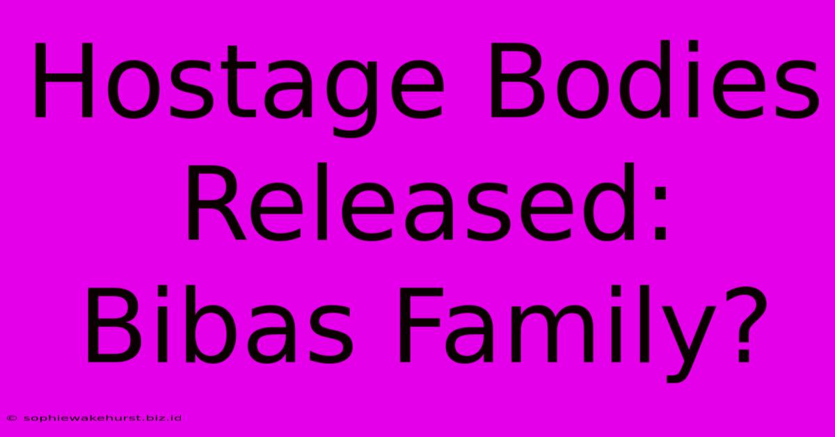 Hostage Bodies Released: Bibas Family?