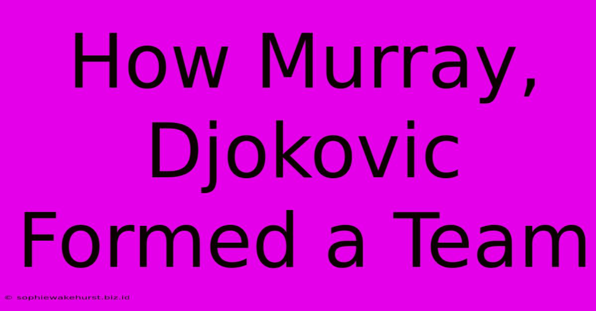 How Murray, Djokovic Formed A Team