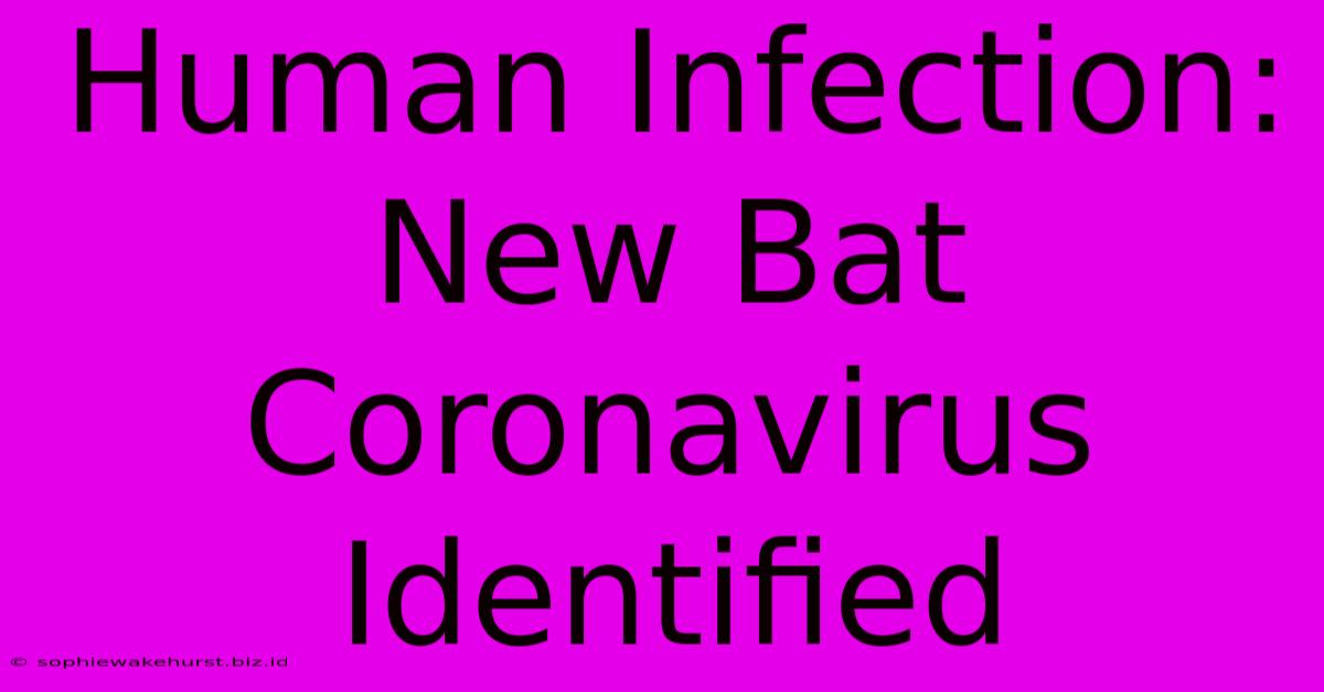 Human Infection: New Bat Coronavirus Identified