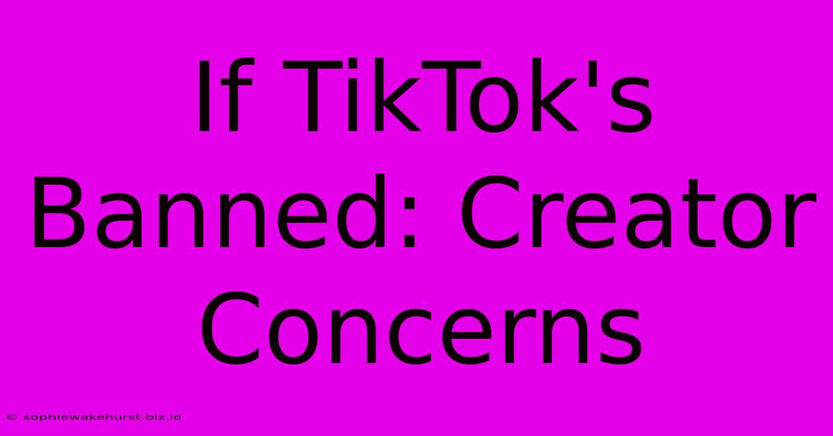 If TikTok's Banned: Creator Concerns