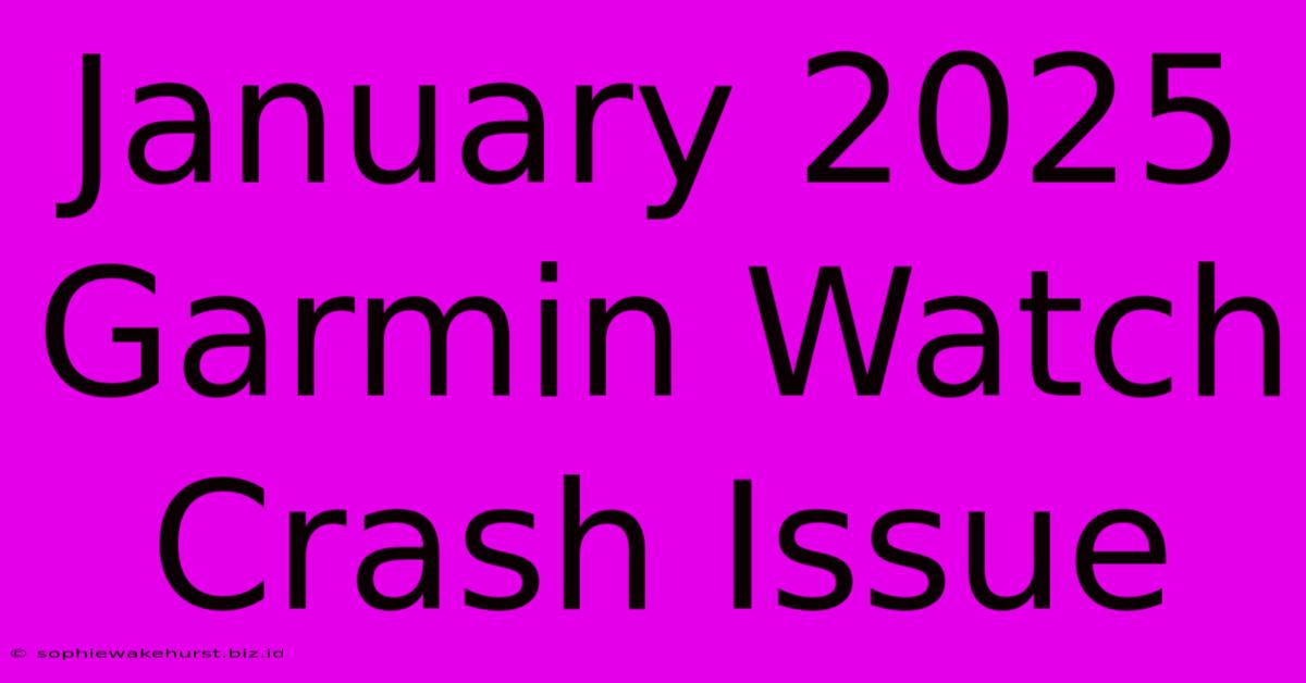 January 2025 Garmin Watch Crash Issue