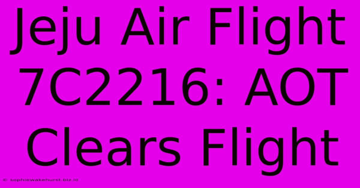 Jeju Air Flight 7C2216: AOT Clears Flight