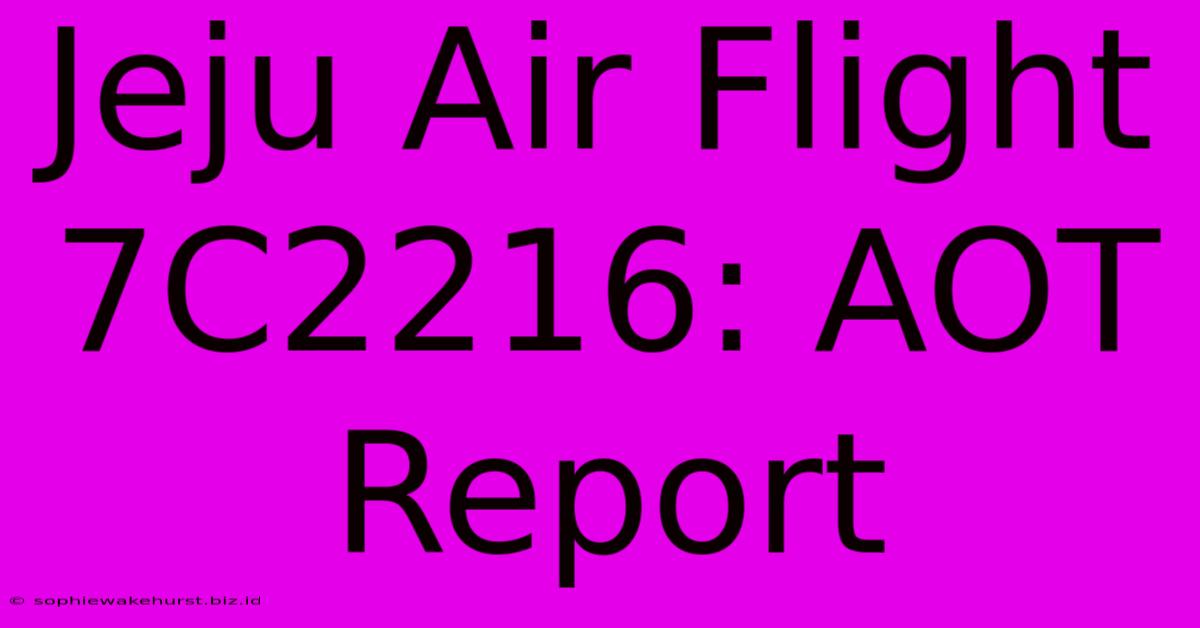 Jeju Air Flight 7C2216: AOT Report