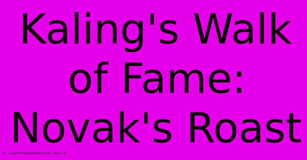 Kaling's Walk Of Fame: Novak's Roast