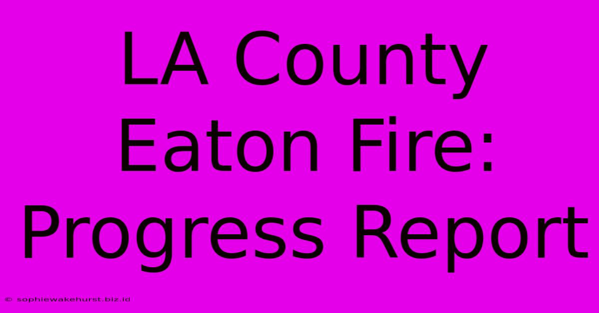 LA County Eaton Fire: Progress Report