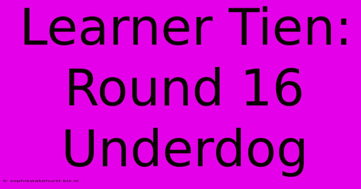 Learner Tien:  Round 16 Underdog