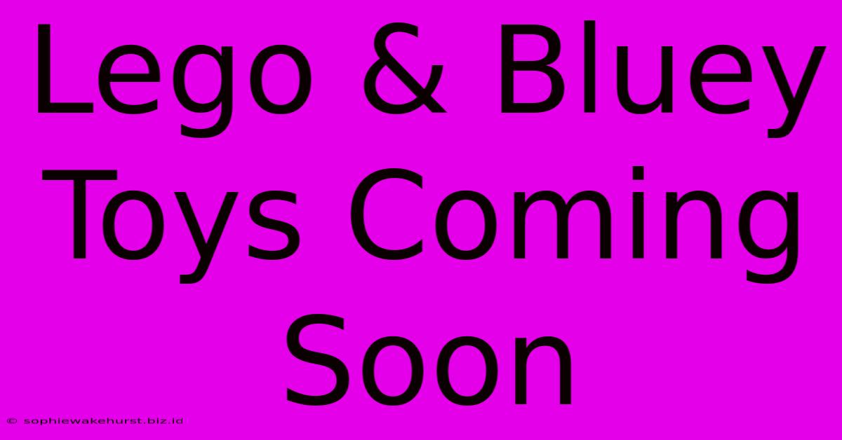 Lego & Bluey Toys Coming Soon