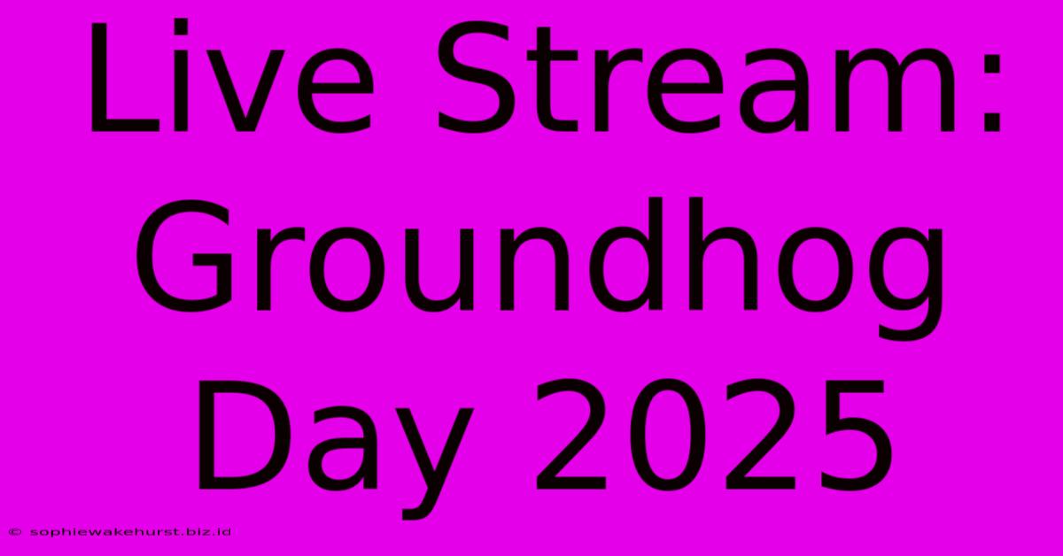 Live Stream: Groundhog Day 2025