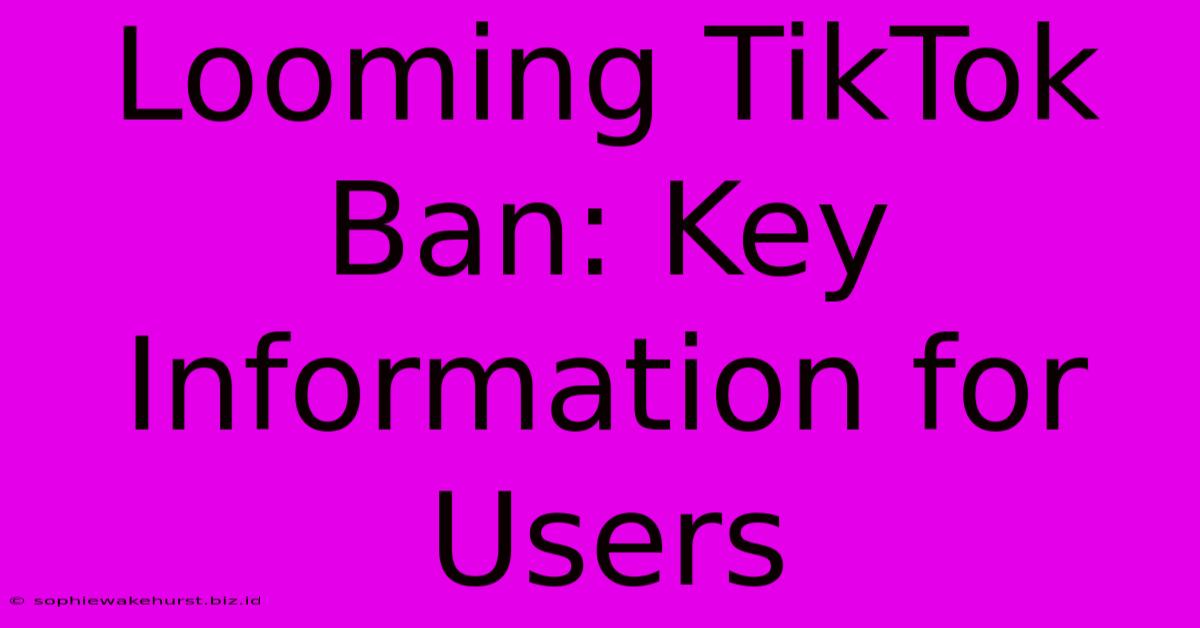 Looming TikTok Ban: Key Information For Users