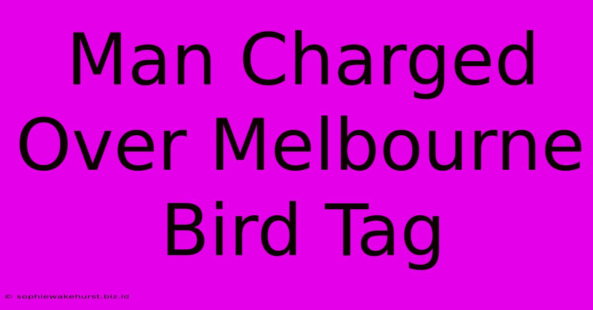 Man Charged Over Melbourne Bird Tag