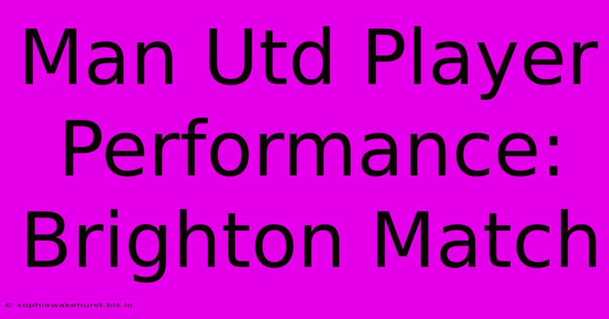 Man Utd Player Performance: Brighton Match