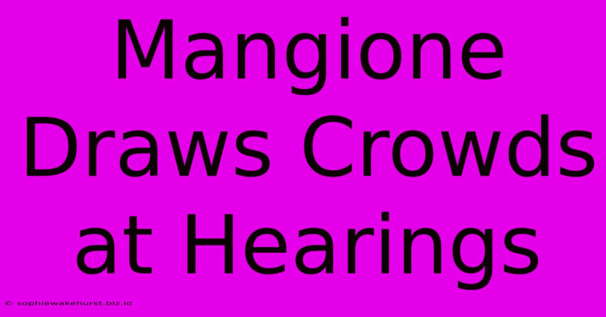 Mangione Draws Crowds At Hearings