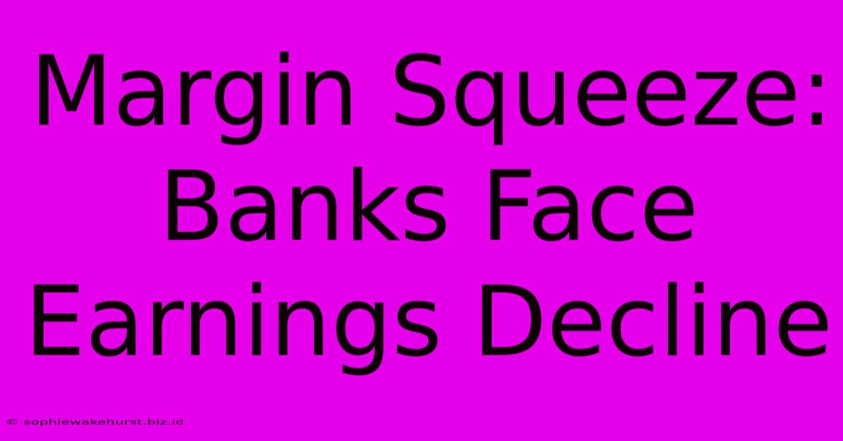 Margin Squeeze: Banks Face Earnings Decline