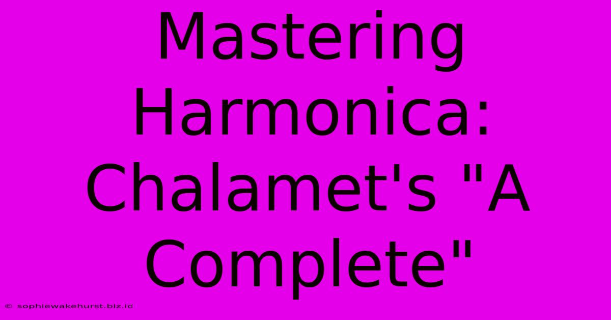 Mastering Harmonica: Chalamet's 