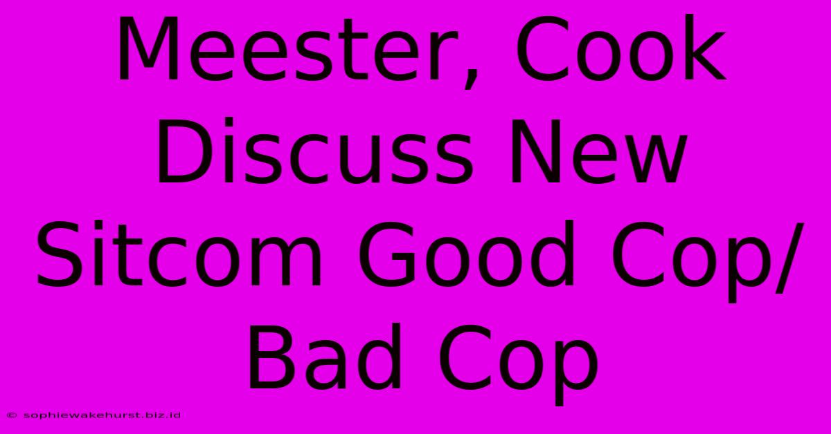 Meester, Cook Discuss New Sitcom Good Cop/Bad Cop