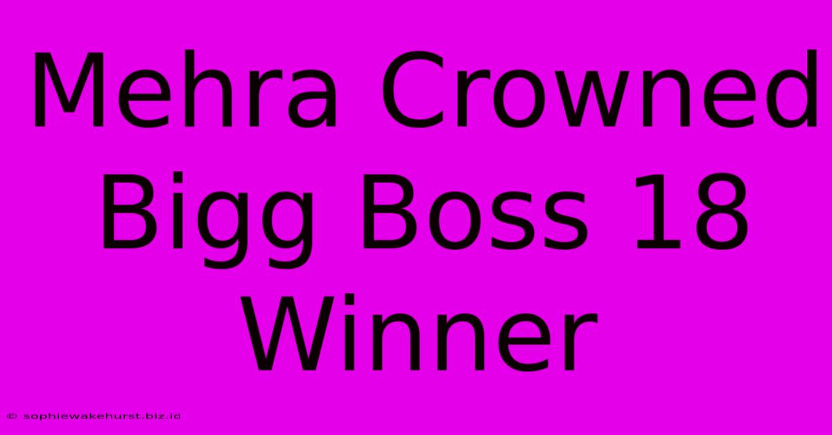 Mehra Crowned Bigg Boss 18 Winner