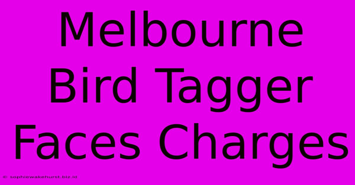 Melbourne Bird Tagger Faces Charges