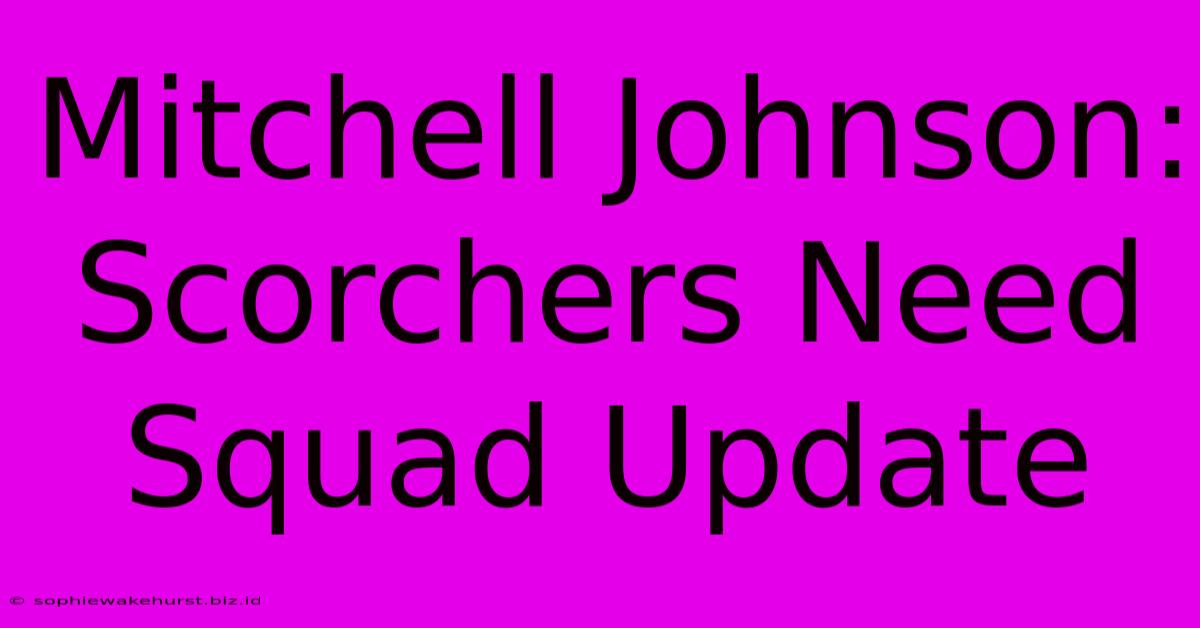 Mitchell Johnson: Scorchers Need Squad Update